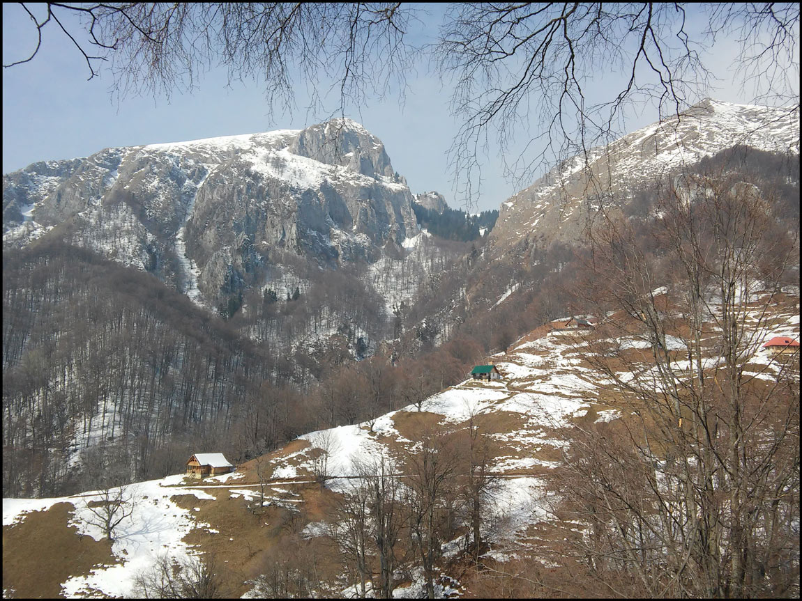 la schitul patrunsa