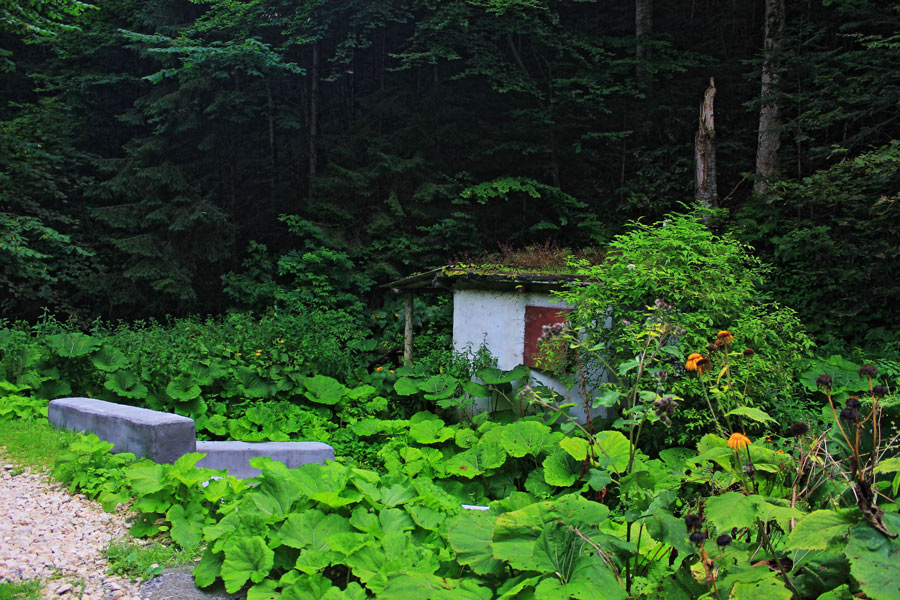 canton forestier valea lamba