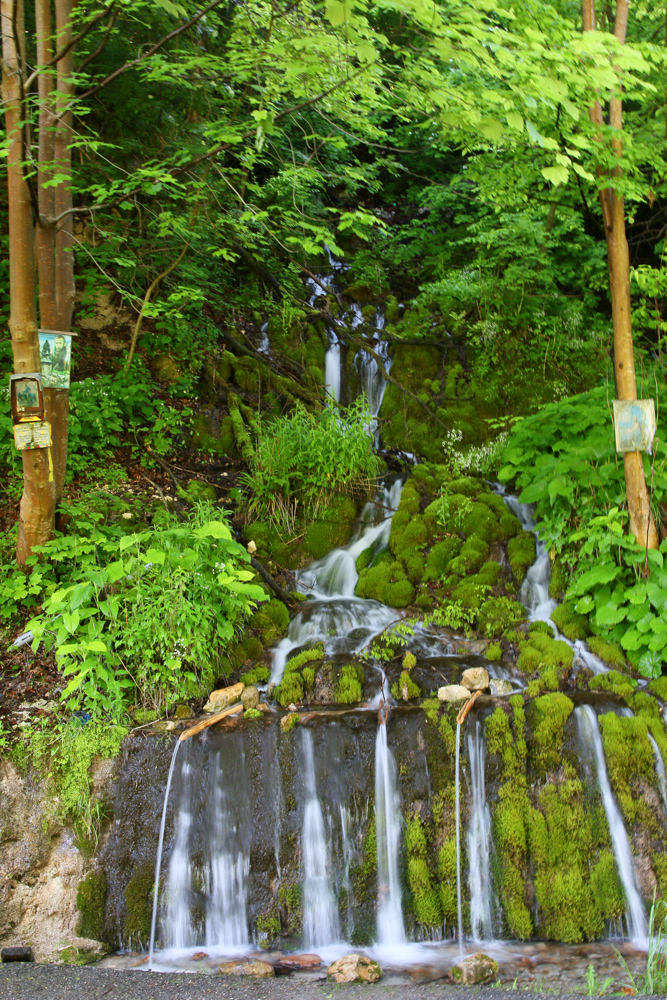Izvoare în cascadă - Valea Cernei